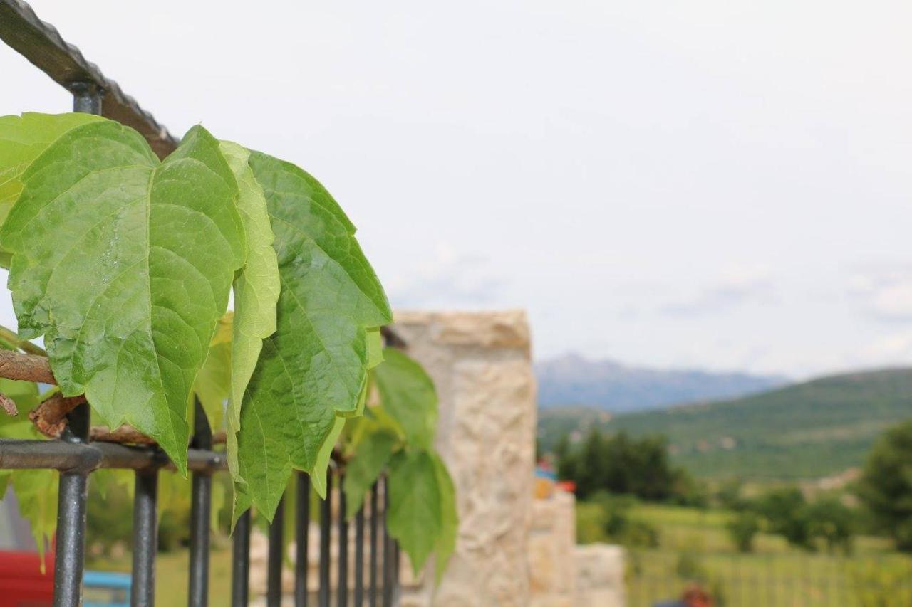 Stone House Skrivena Βίλα Pridraga Εξωτερικό φωτογραφία