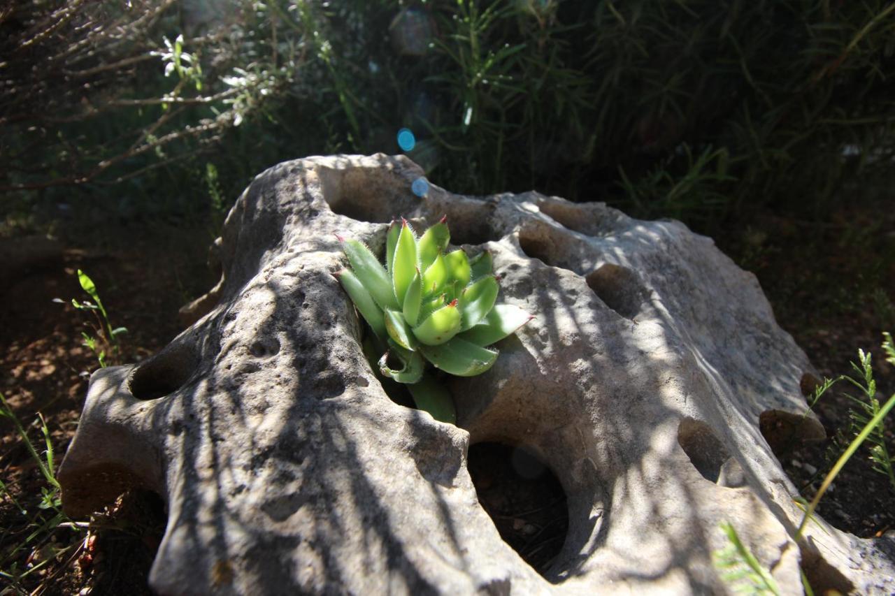 Stone House Skrivena Βίλα Pridraga Εξωτερικό φωτογραφία