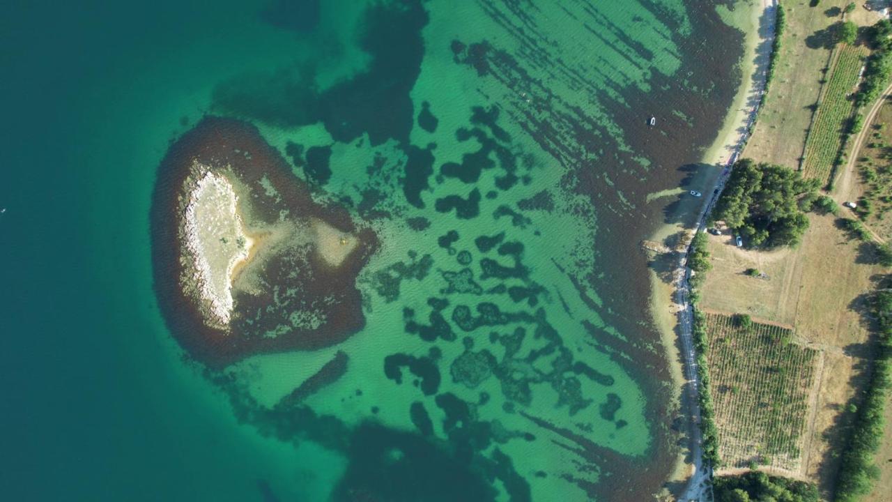 Stone House Skrivena Βίλα Pridraga Εξωτερικό φωτογραφία